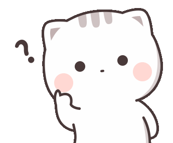 Confused cat